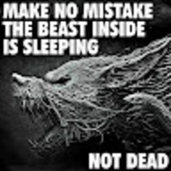 Meet your Posher, Anthony - Picture 1 of 1